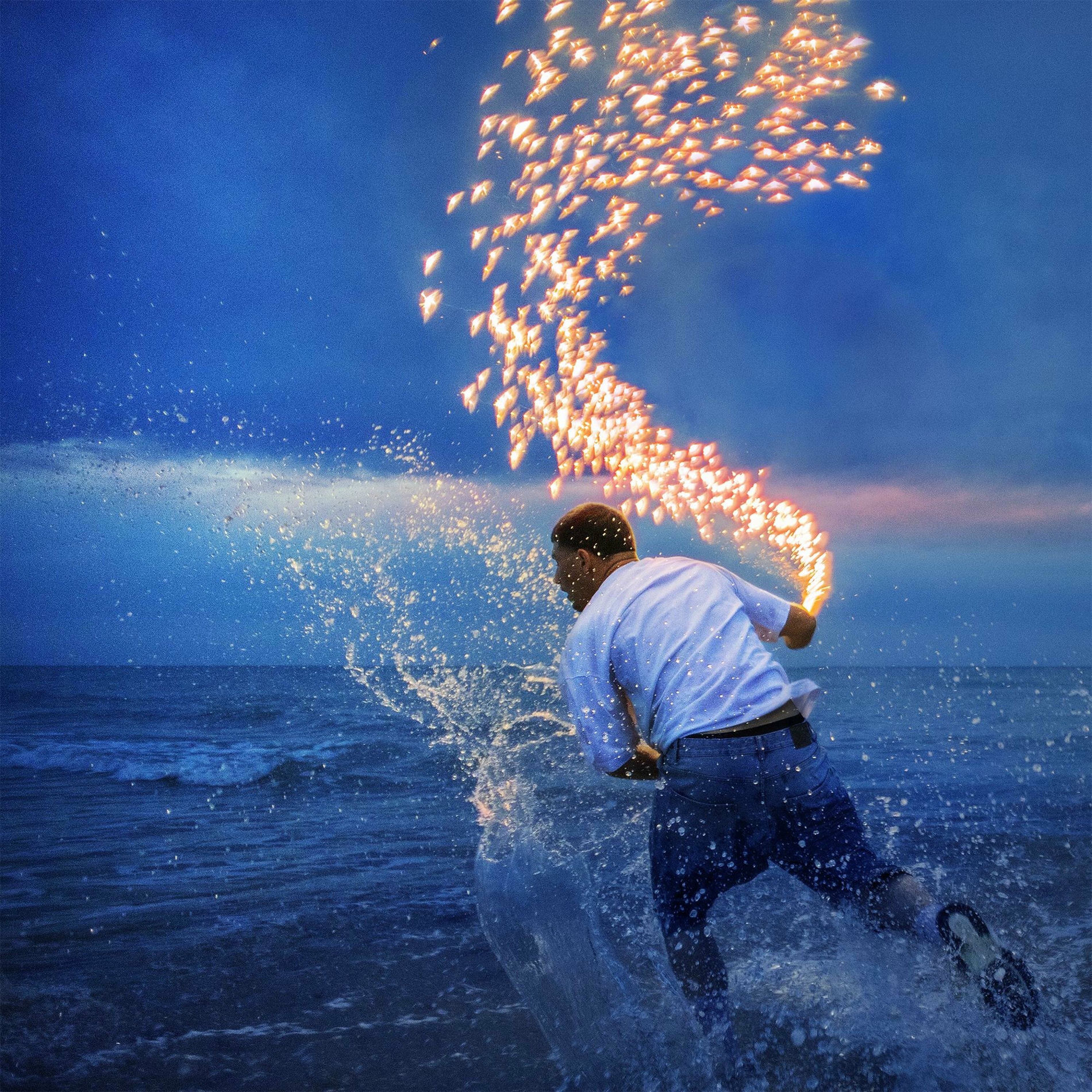 Album cover of LE BRUIT DES VAGUES