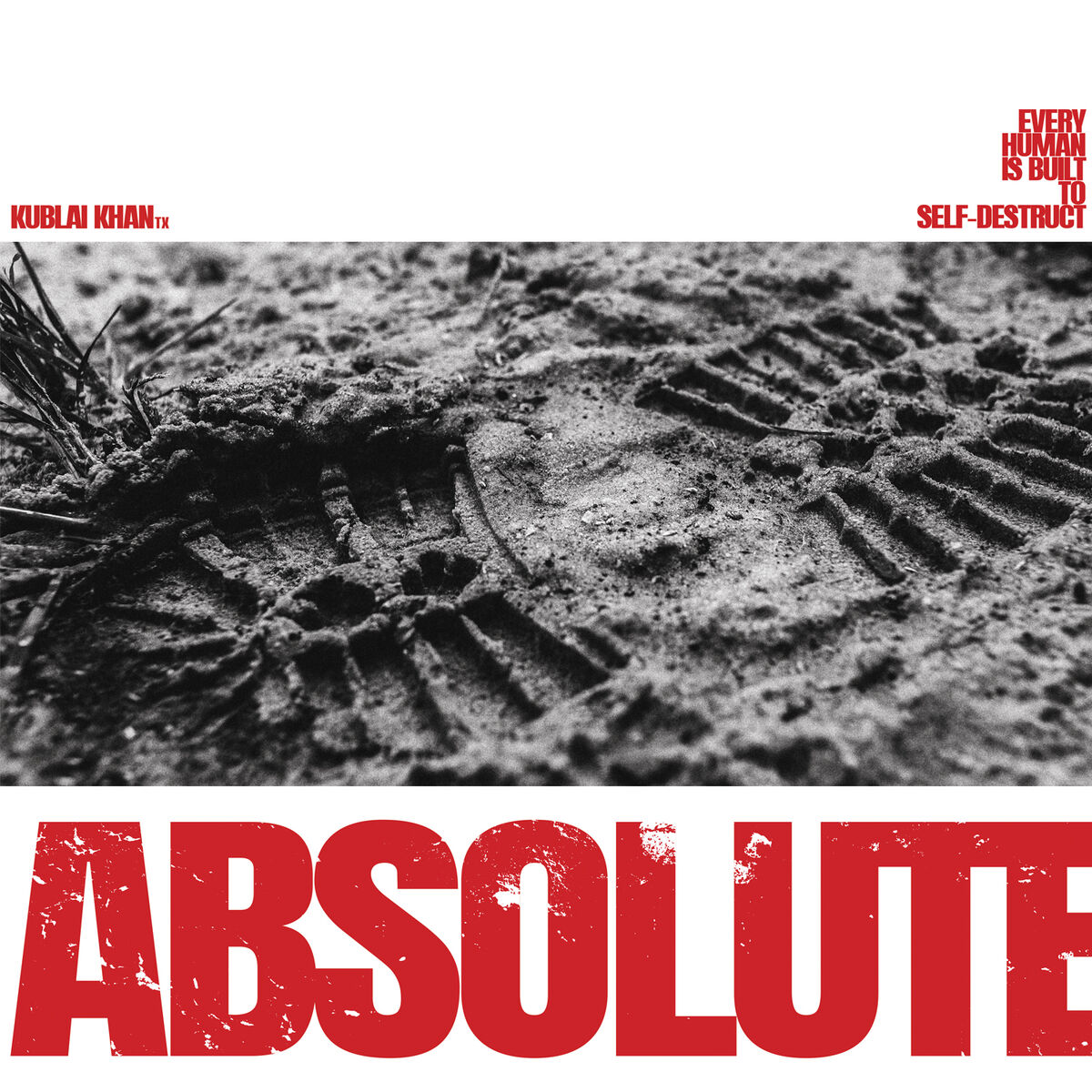 Album cover of Self-Destruct