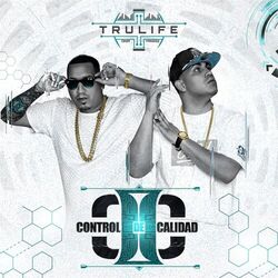 Cover of Control de Calidad 2