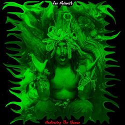 Cover of Medicating The Shaman