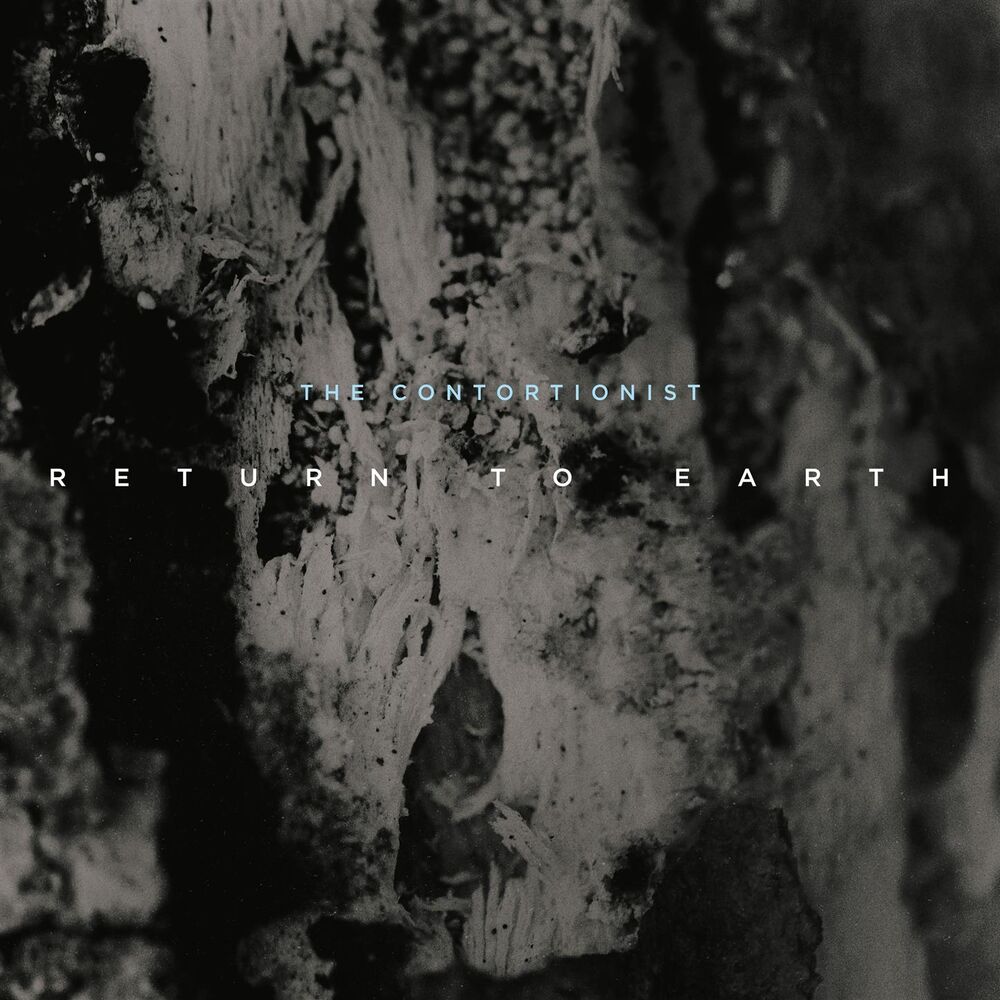 Picture of Return To Earth