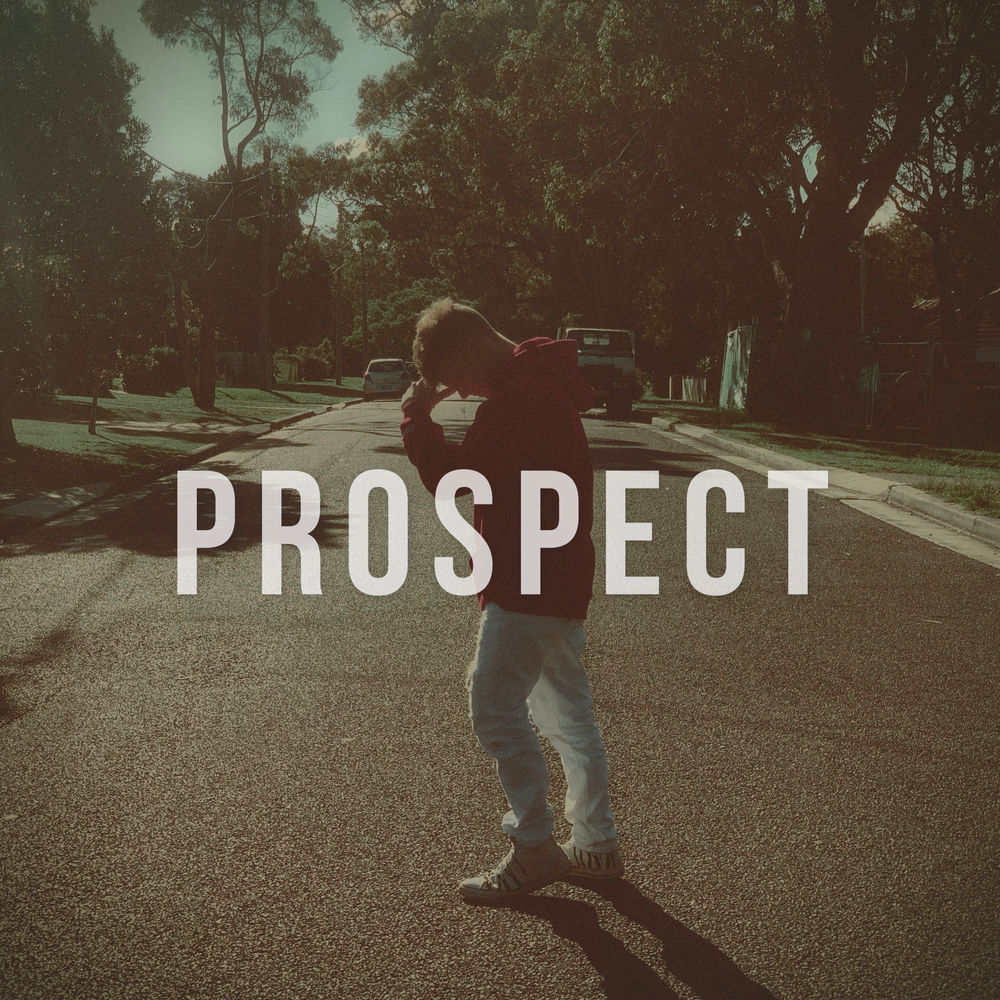Prospect cover