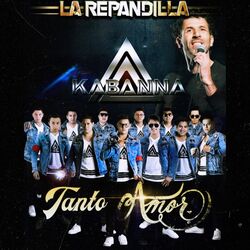 Cover of Tanto Amor