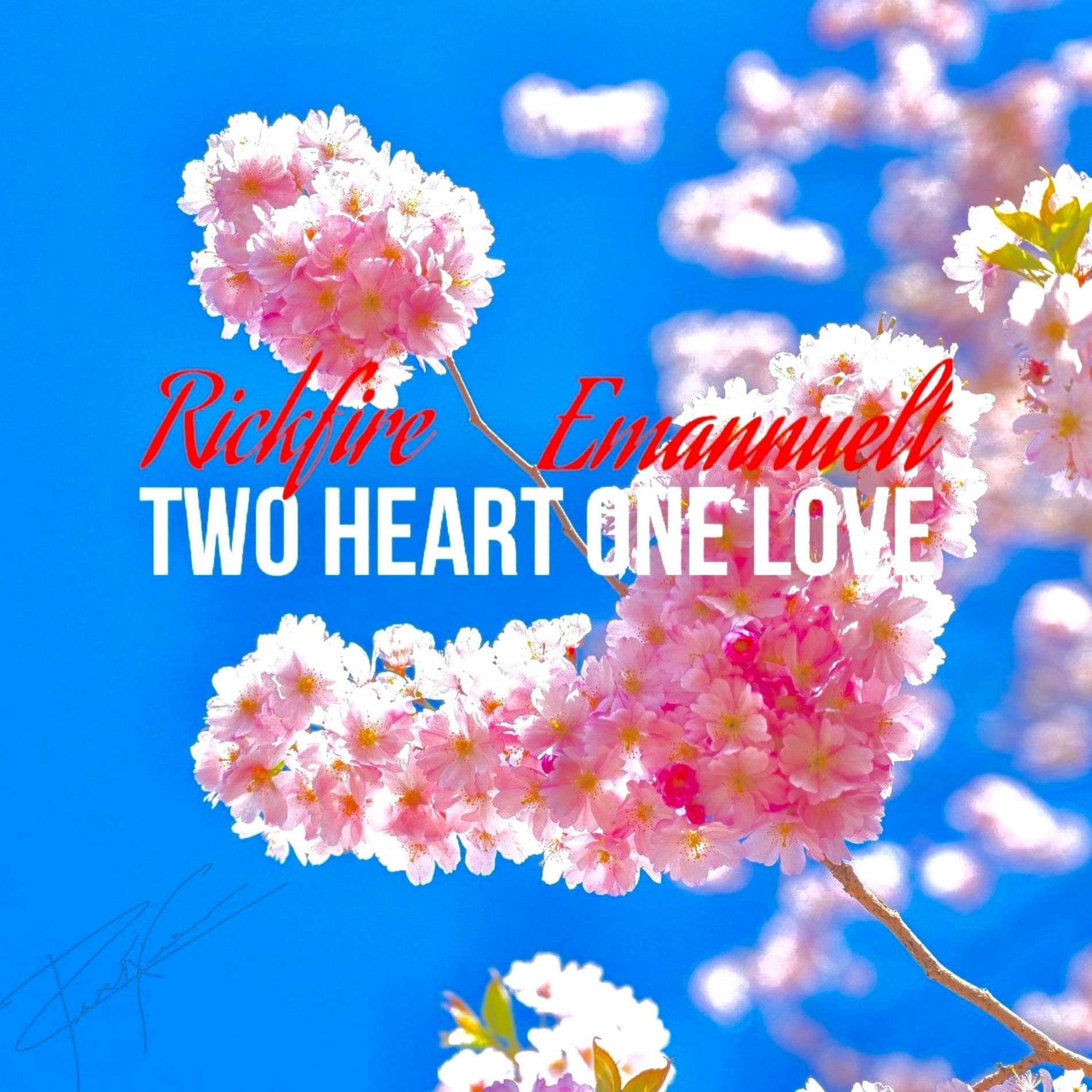 Album cover of Two Heart One Love