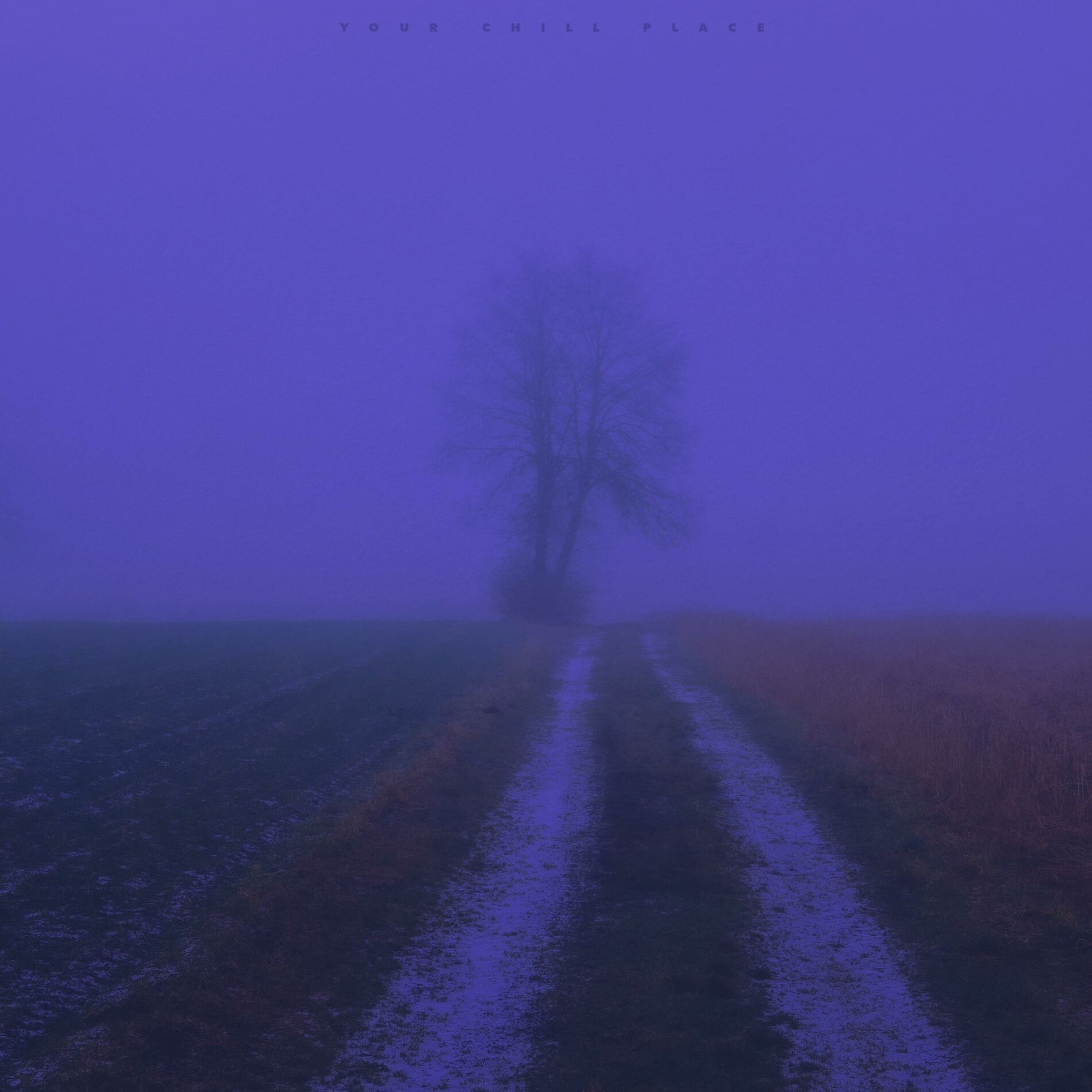 Album cover of to the moon and never back