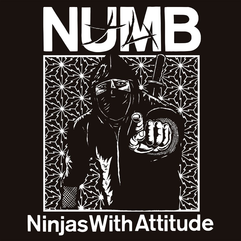 Picture of Ninjas With Attitude