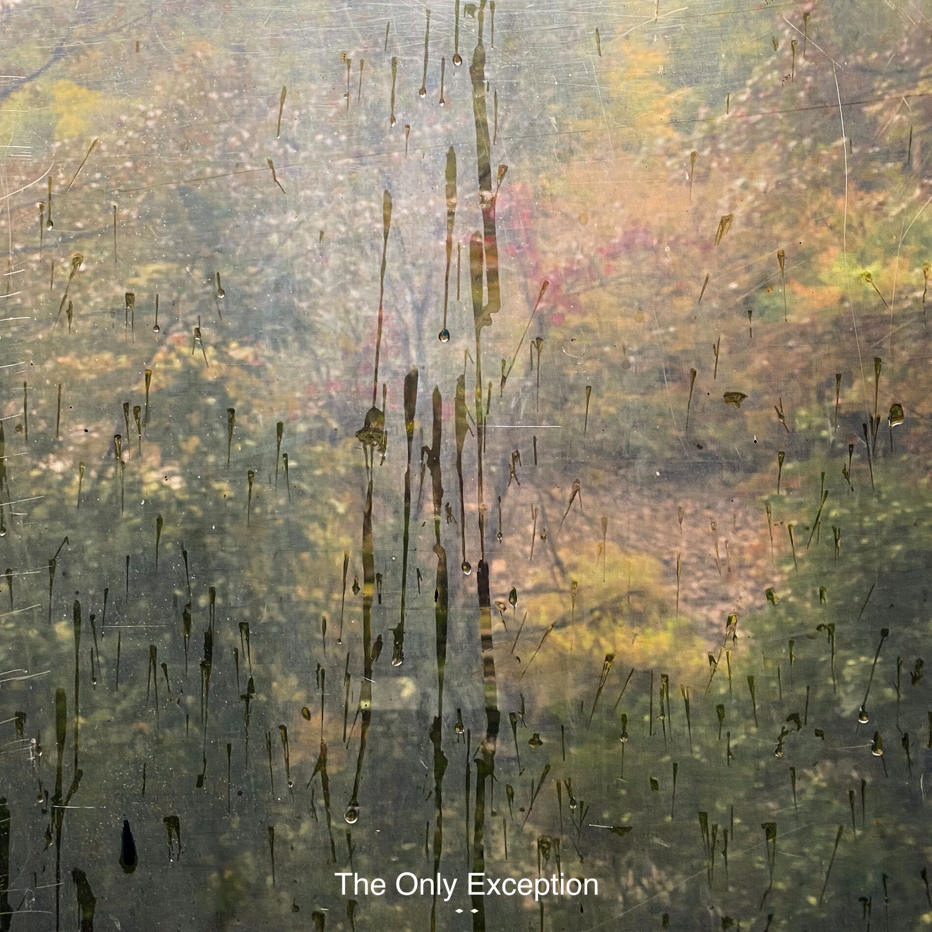Album cover of The Only Exception