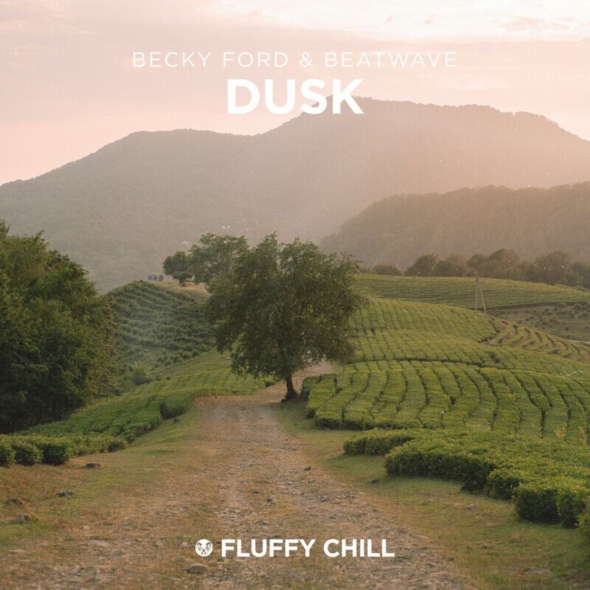 Album cover of Dusk