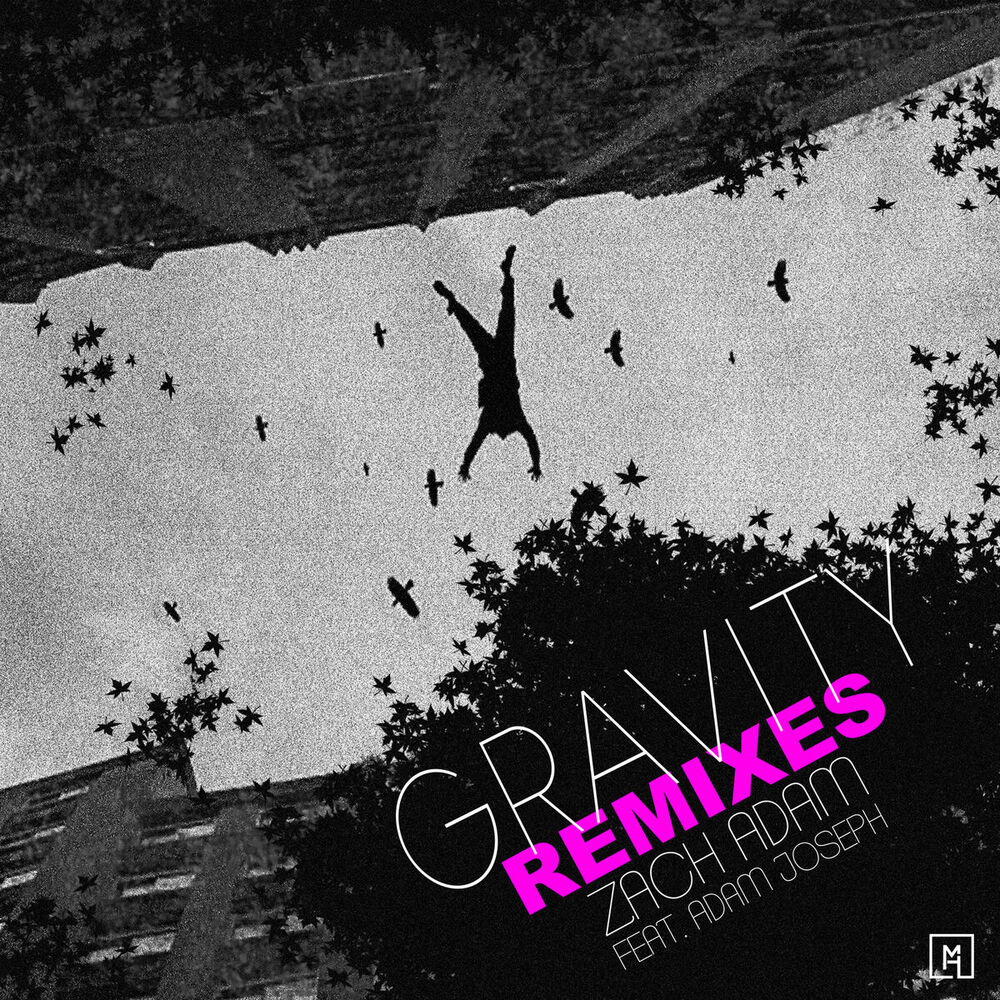 Picture of Gravity (Remixes)