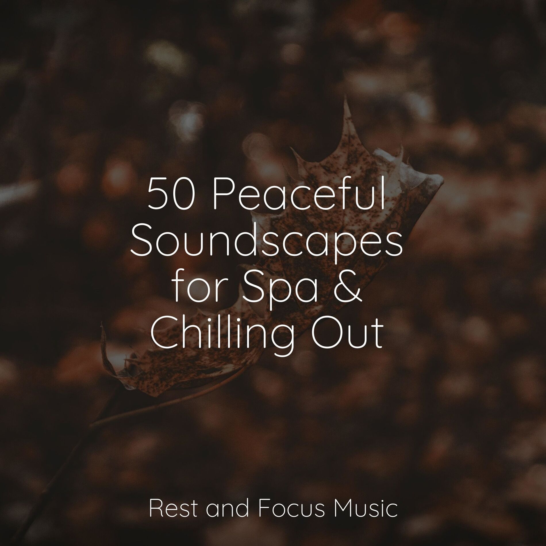 Album cover of 50 Peaceful Soundscapes for Spa & Chilling Out