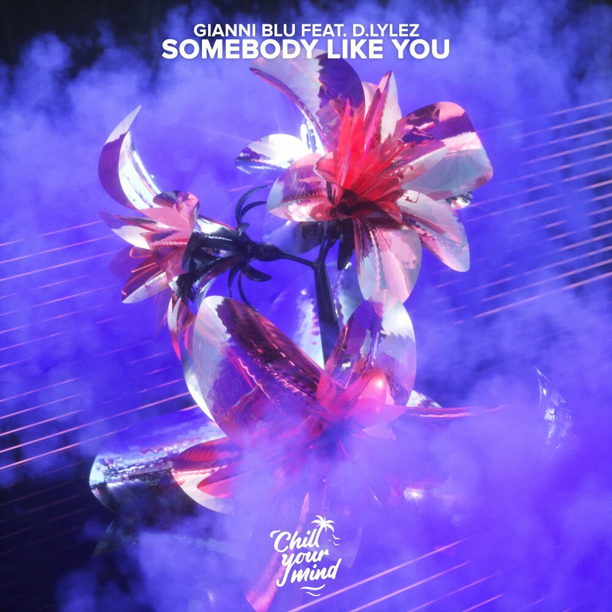 Album cover of Somebody Like You