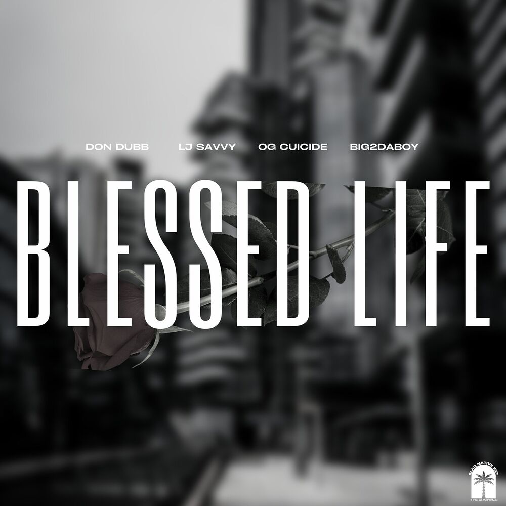 Picture of Blessed Life