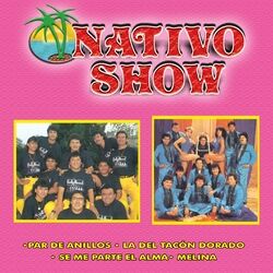 Cover of Par de Anillos