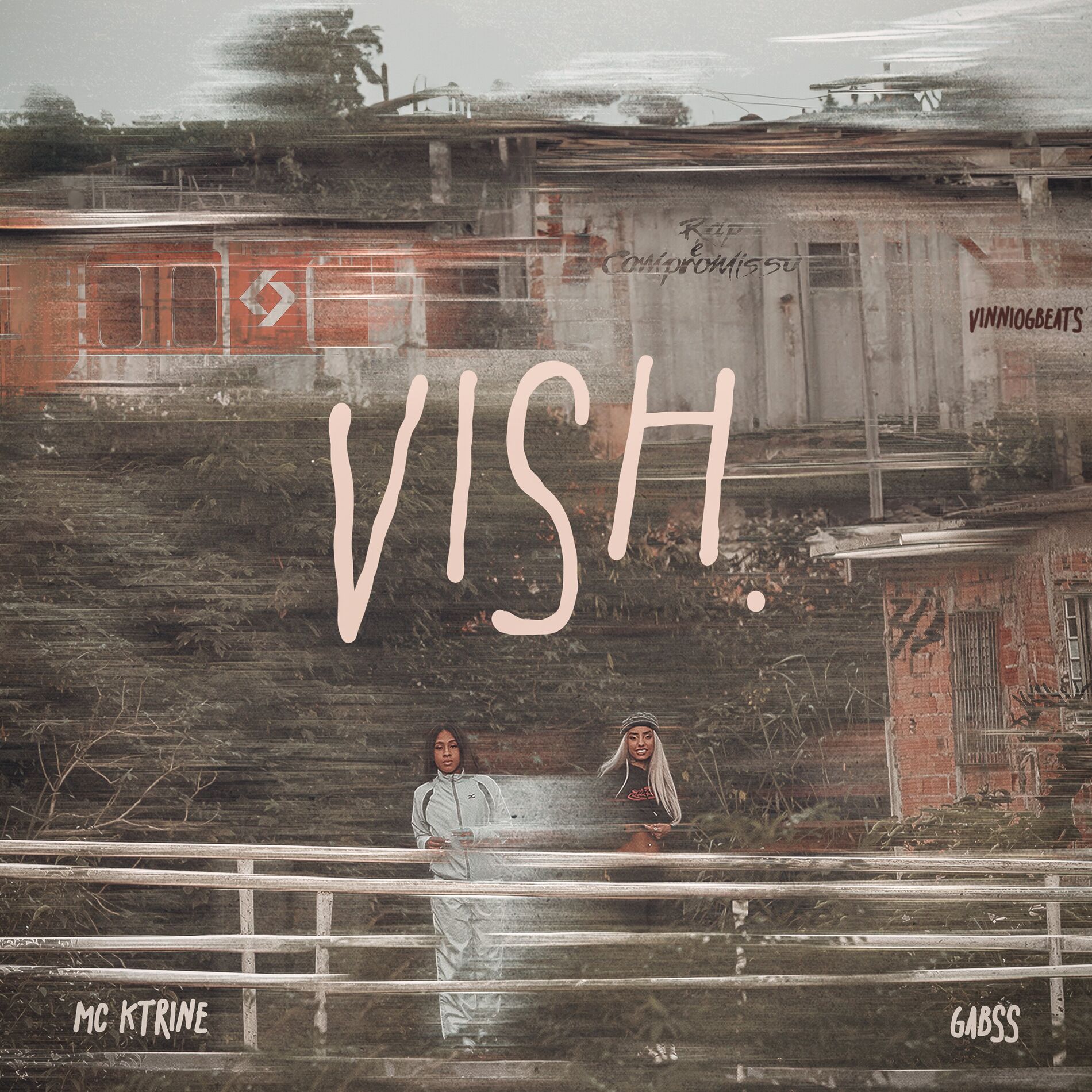 Album cover of Vish