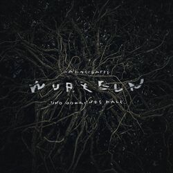 Cover of Wurzeln