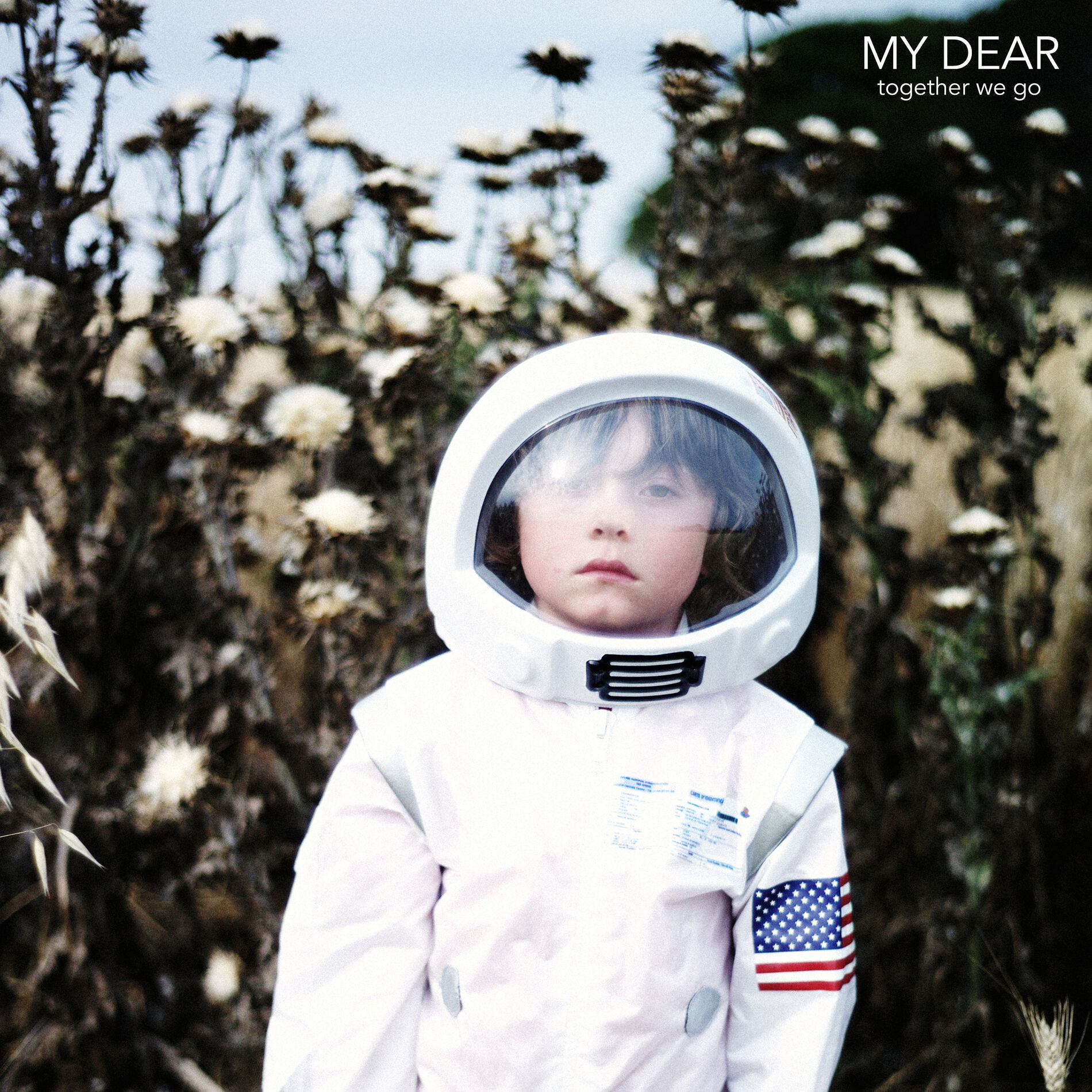 Album cover of Standing in This Dream