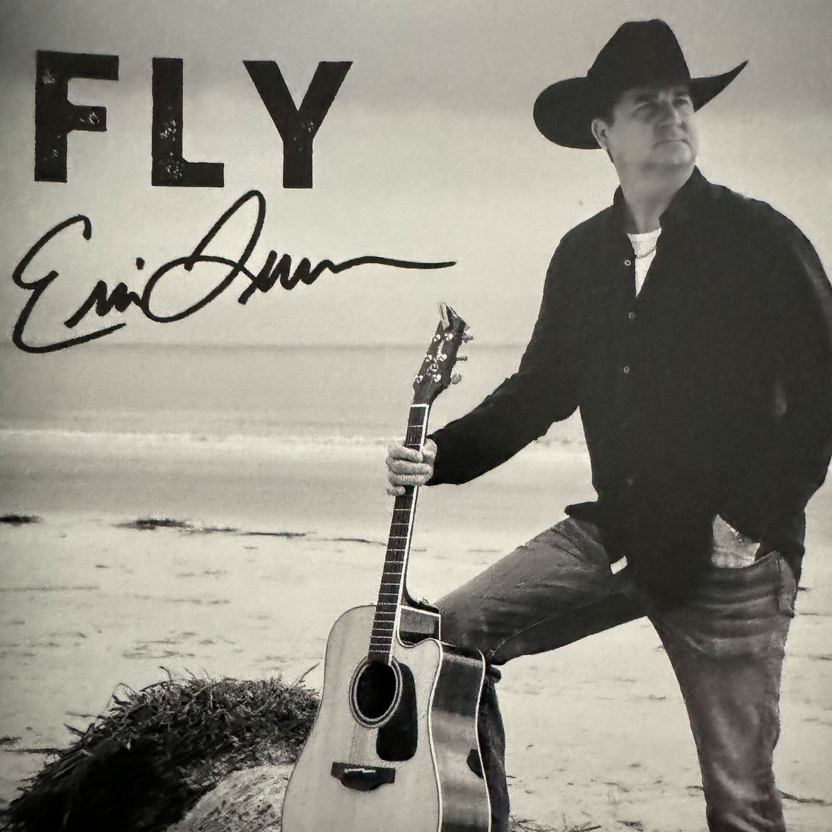 Album cover of Fly