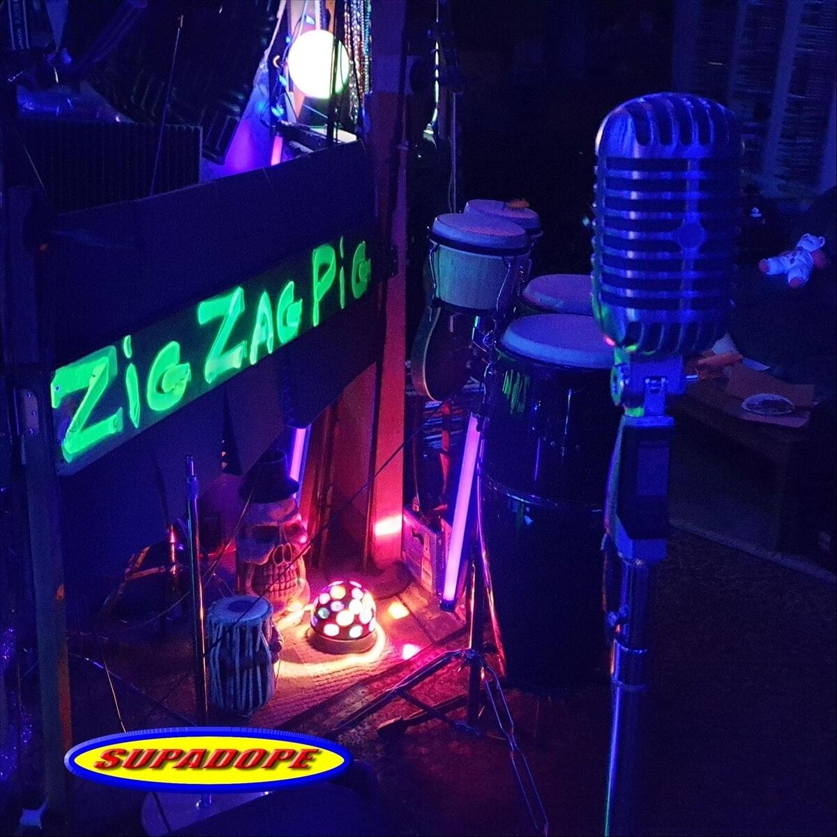 Album picture of Zig Zag Pig
