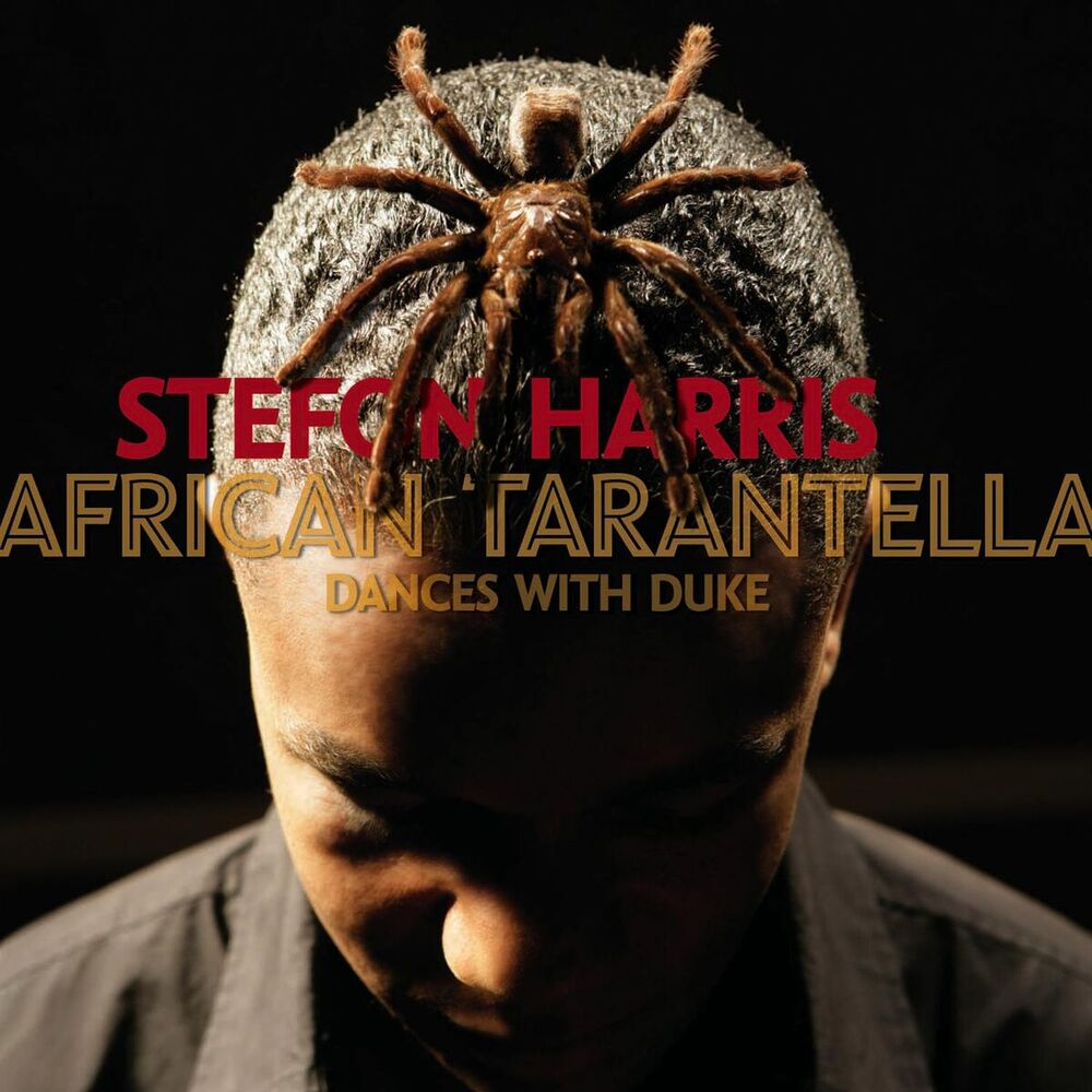 Picture of African Tarantella