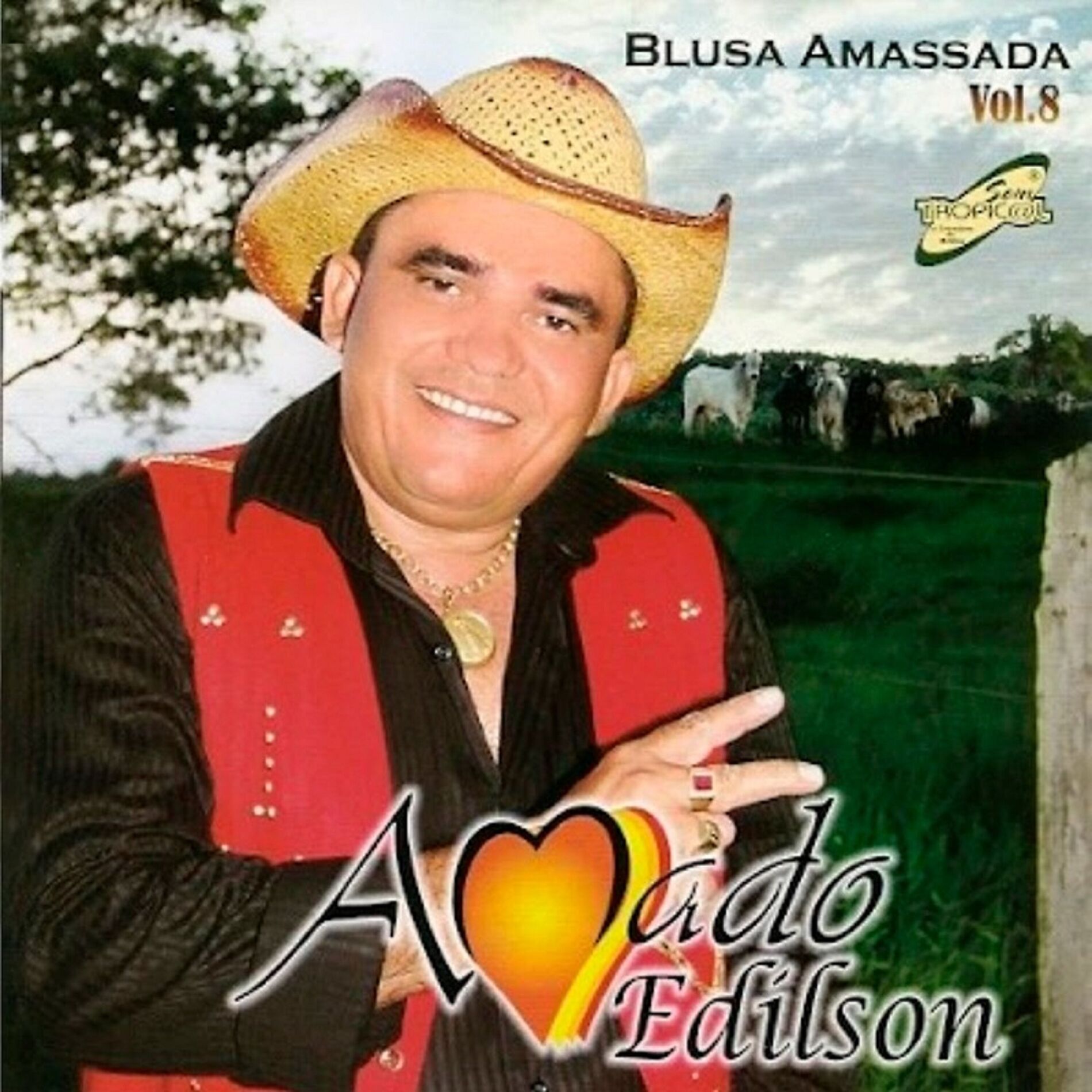 Album cover of Blusa Amassada Vol.8
