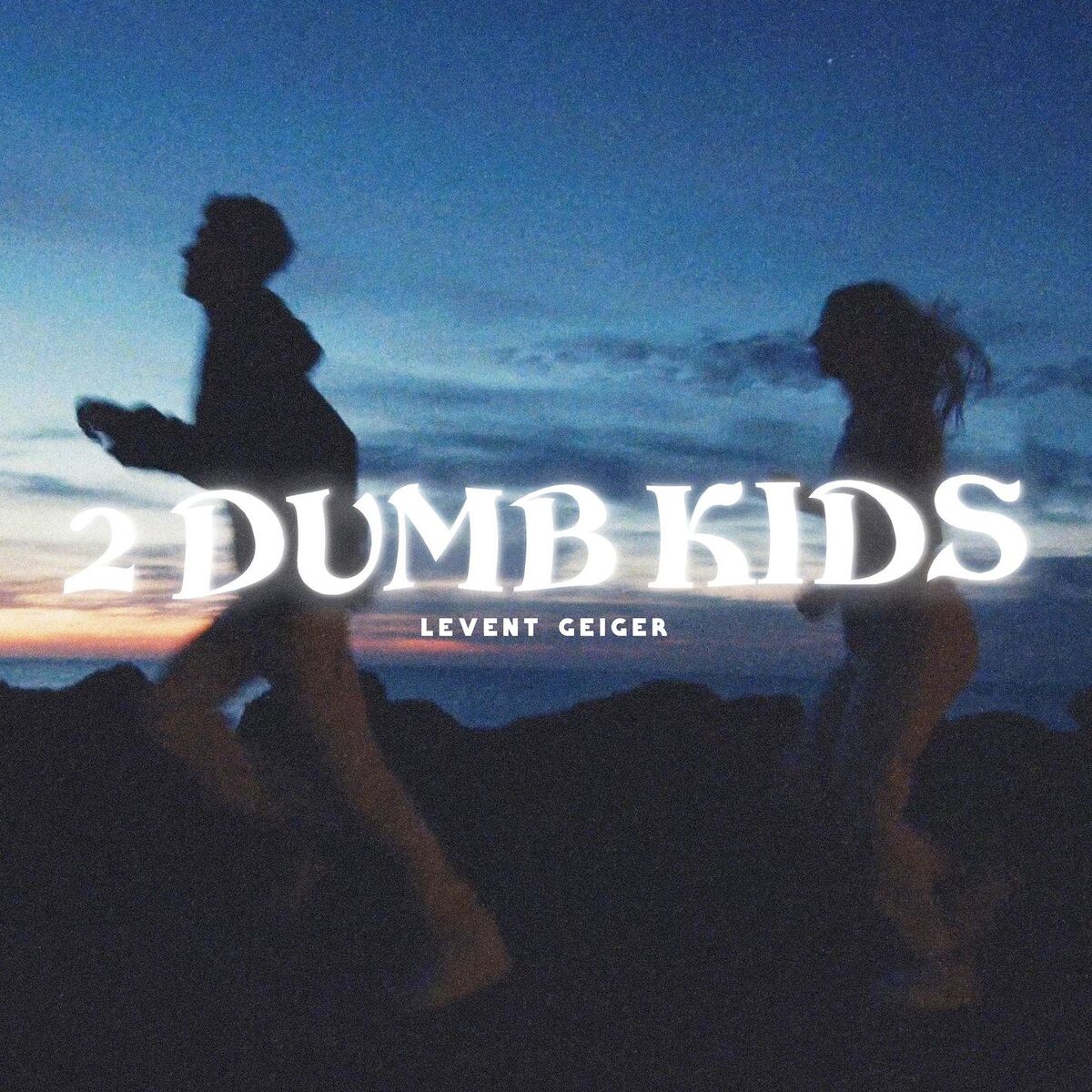 Album cover of 2 Dumb Kids