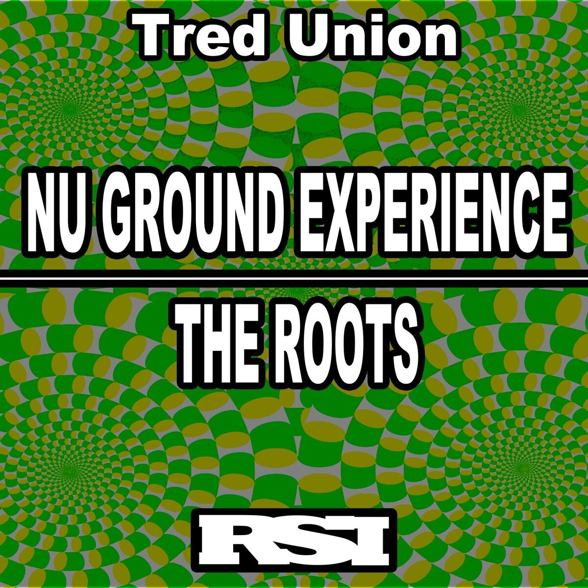 Album cover of Nu Ground Experience / The Roots