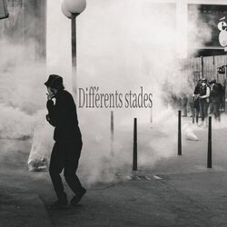 Cover of Différents stades