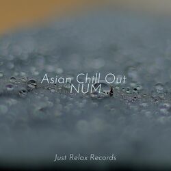 Cover of Asian Chill Out NUM