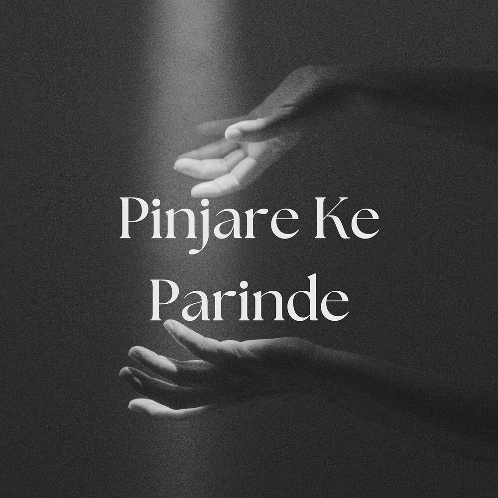 Picture of Pinjare Ke Parinde