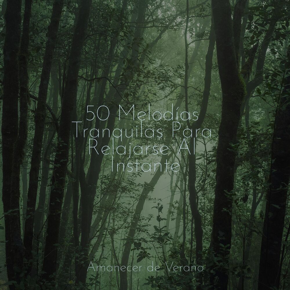 Picture of 50 Melodías Tranquilas Para Relajarse Al Instante