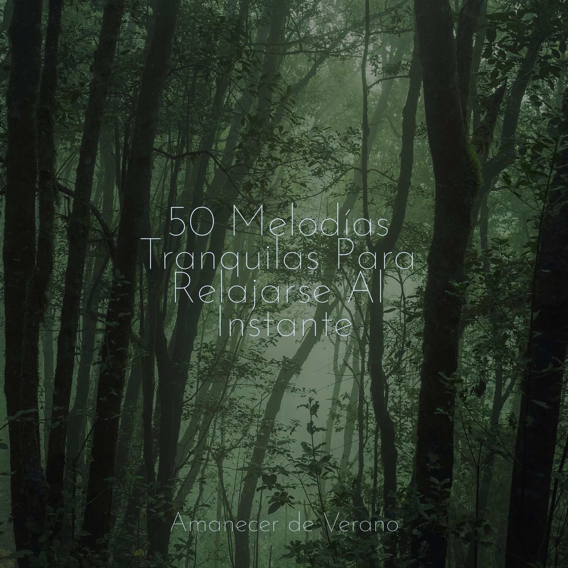 Album cover of 50 Melodías Tranquilas Para Relajarse Al Instante