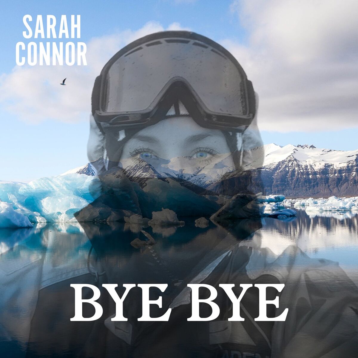Album cover of Bye Bye