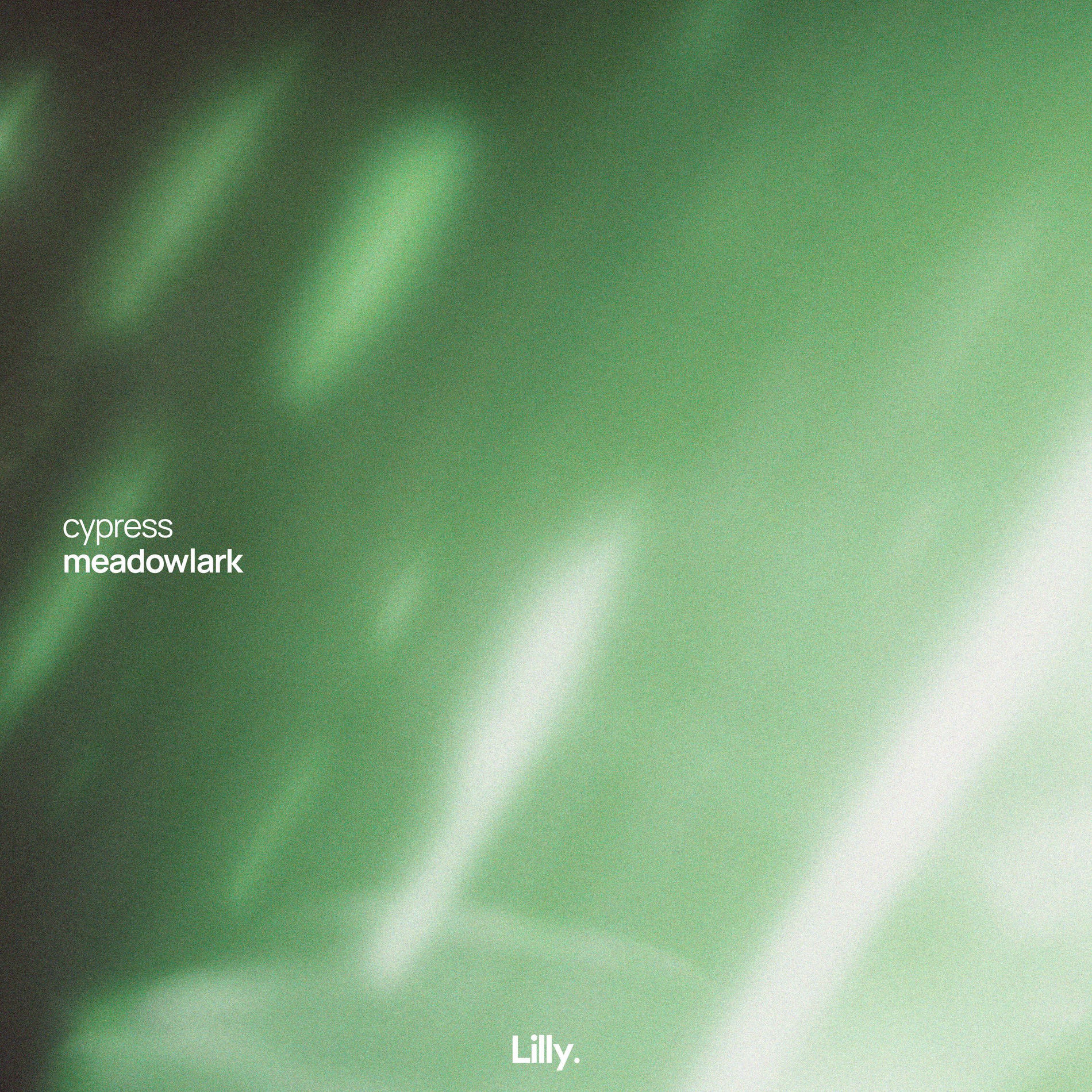Album cover of meadowlark