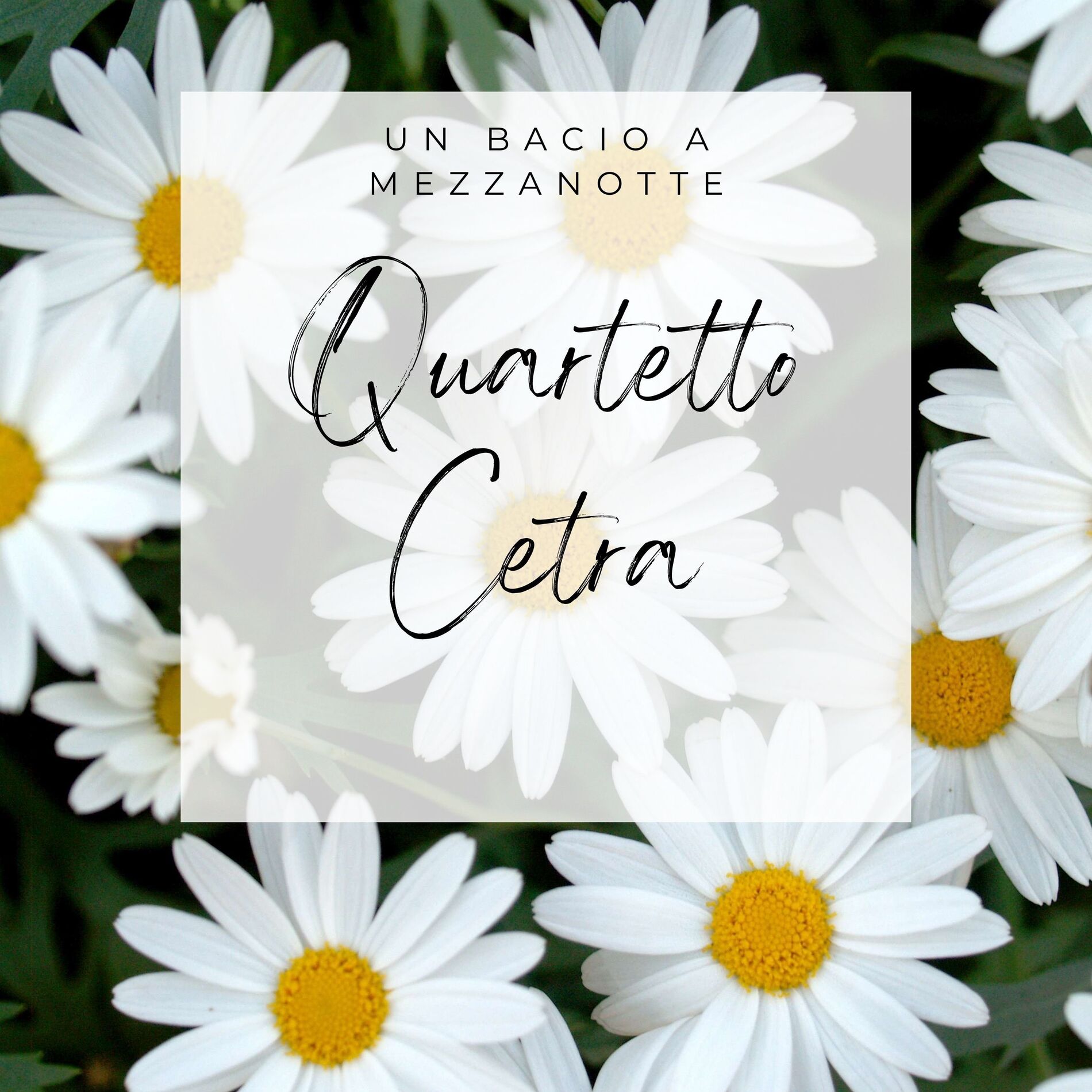 Album cover of Un Bacio a Mezzanotte
