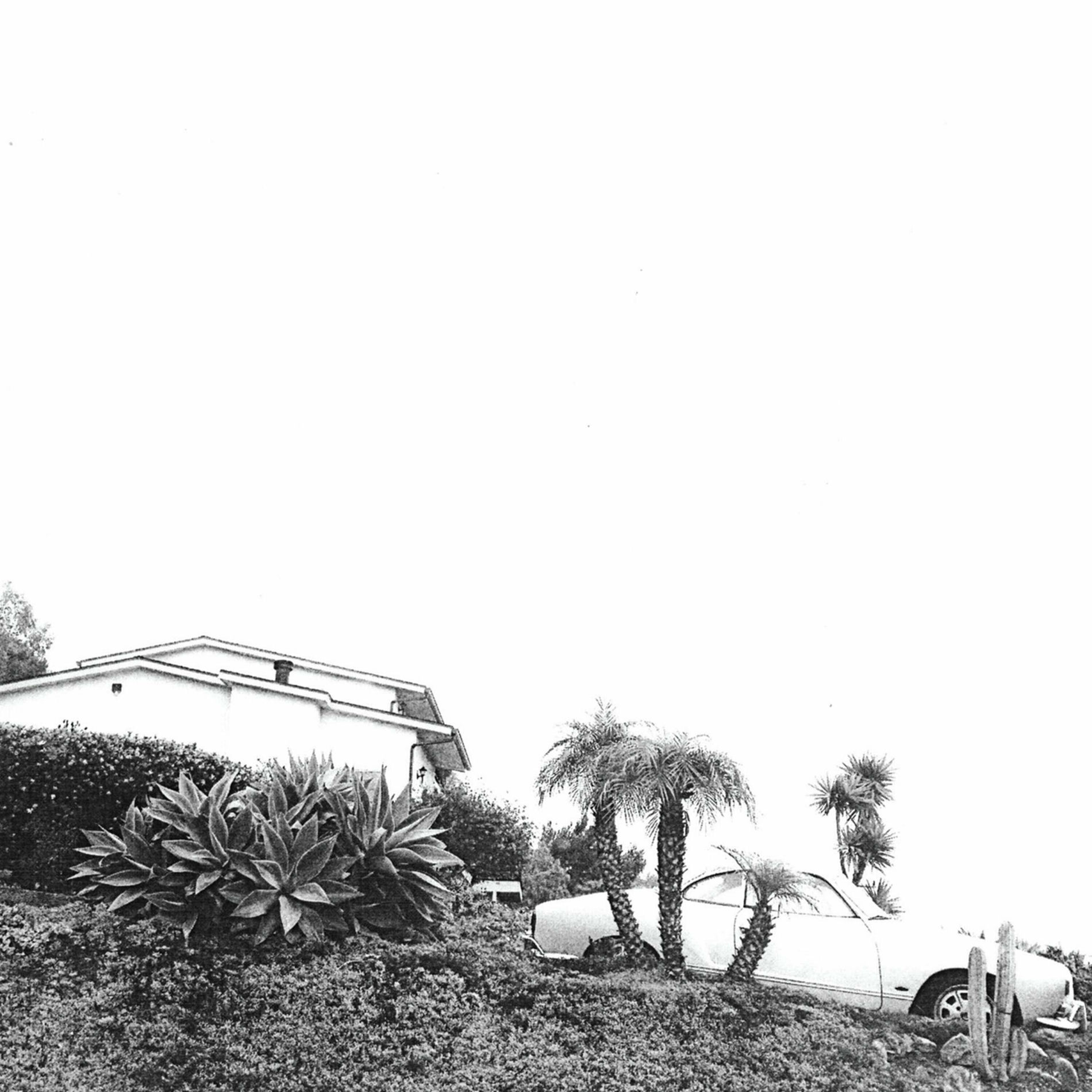 Album cover of Hot Dreams