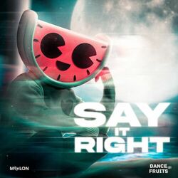 Cover of Say It Right