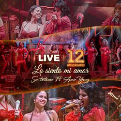 Cover of Lo siento mi amor (12 aniversario - En Vivo)