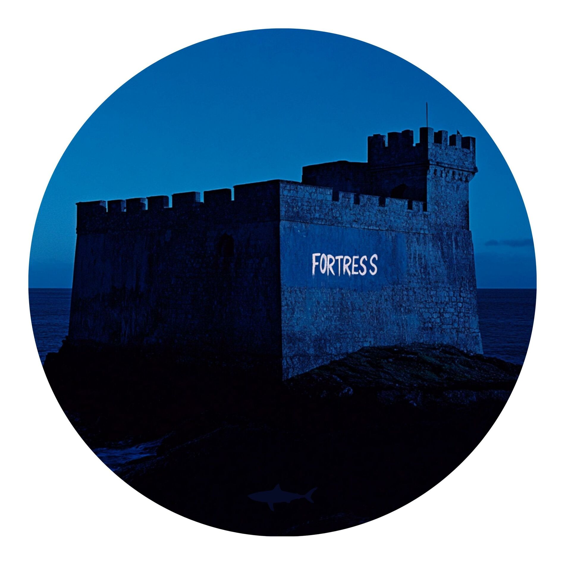 Album cover of Fortress