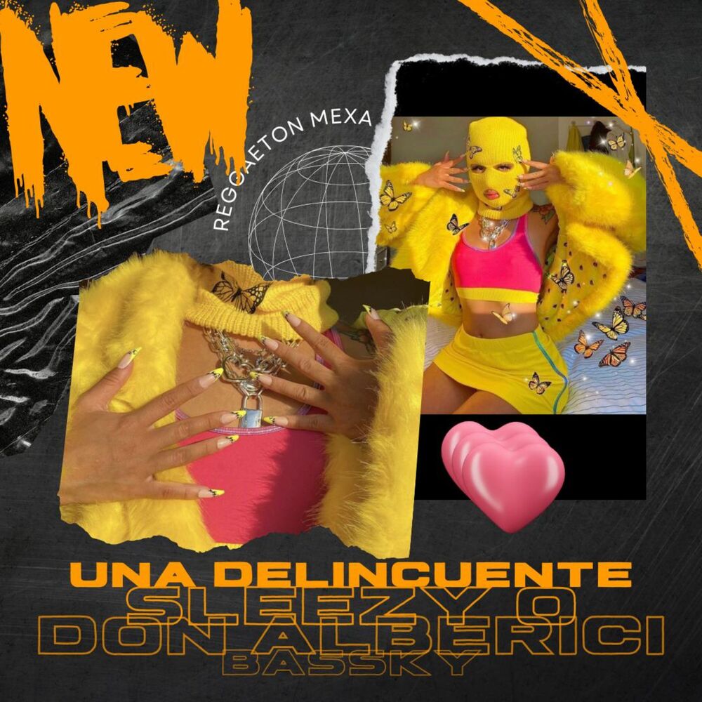 Picture of Una Delincuente