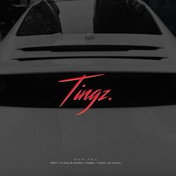 Cover of Tingz Remixes