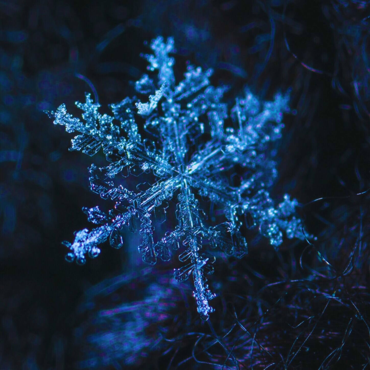 Album cover of It´s Cold Outside