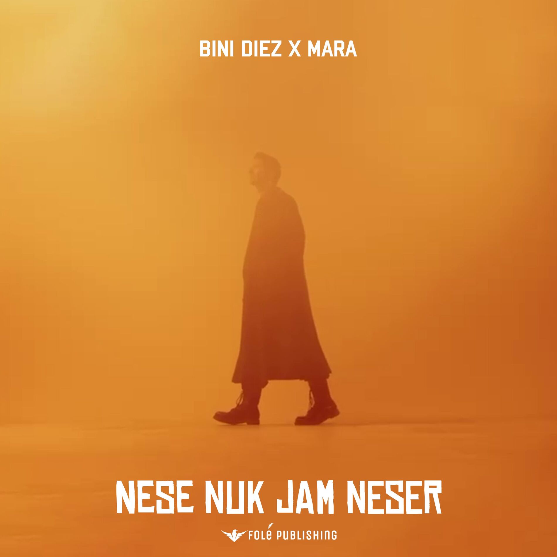 Album cover of Nese nuk jam neser