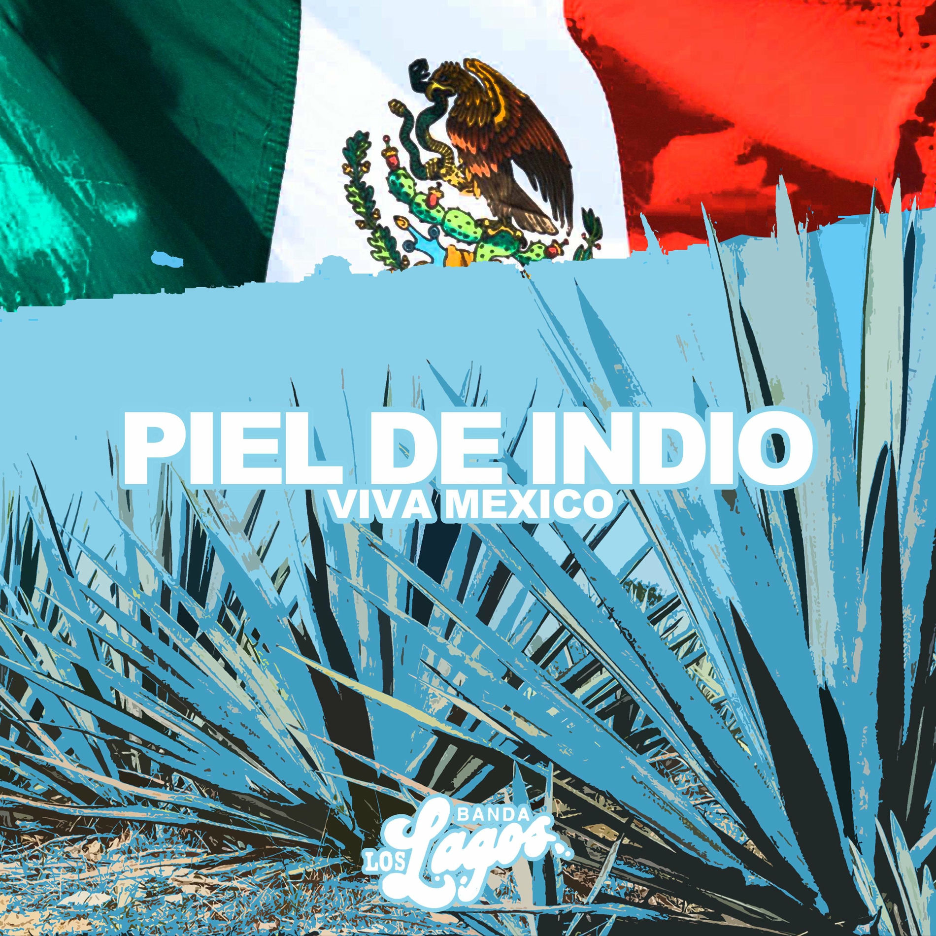 Album cover of Piel De Indio (Viva Mexico)