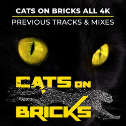 Descargar Planes over Ushuaia (Karsten Kiessling Melodic Radio Mix) - CATS ON BRICKS MP3