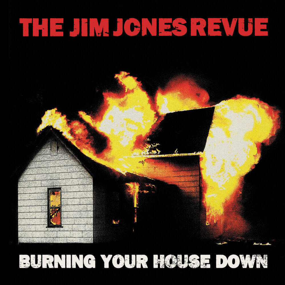 Picture of Burning Your House Down