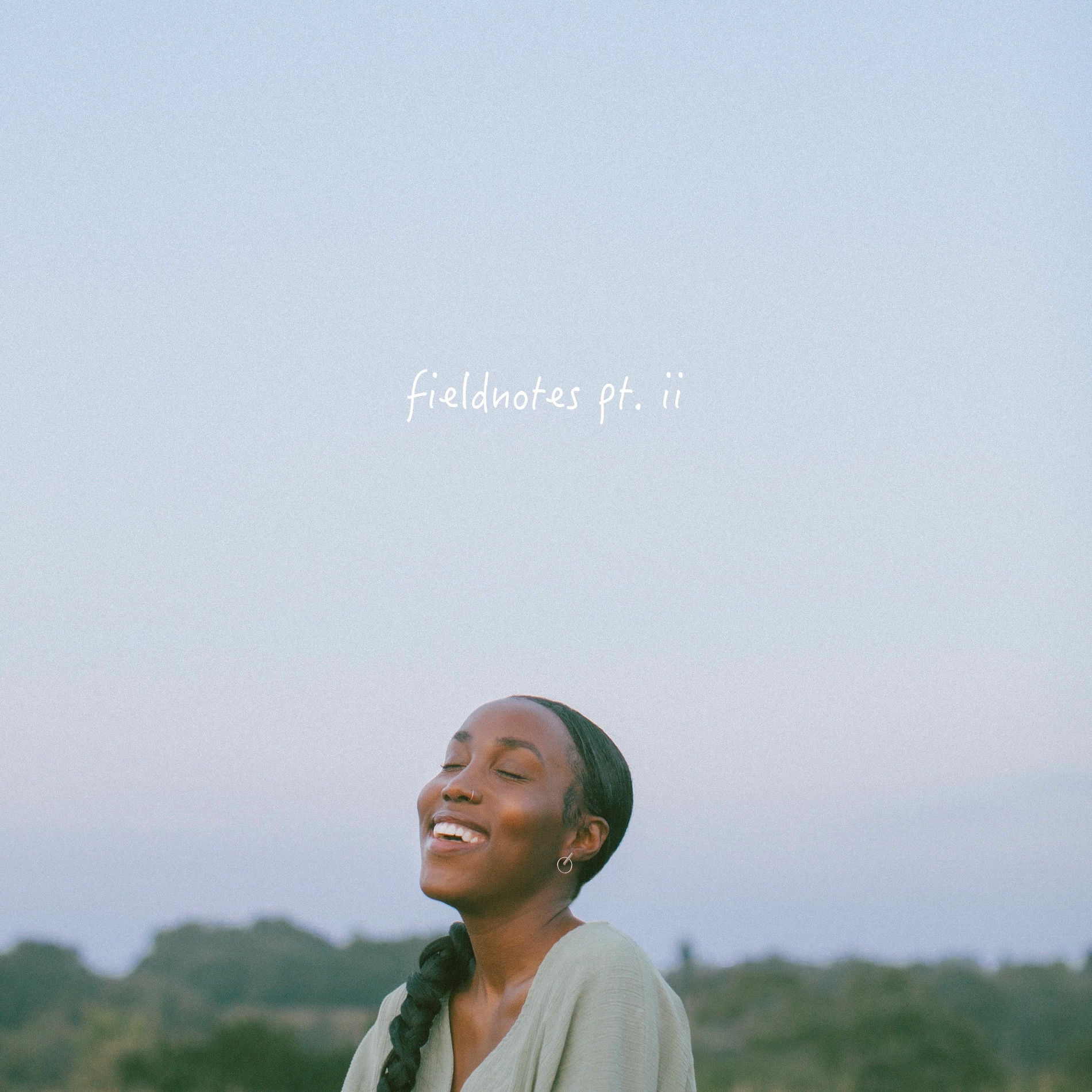 Album cover of FIELDNOTES PT II