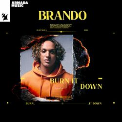 Cover of Burn It Down
