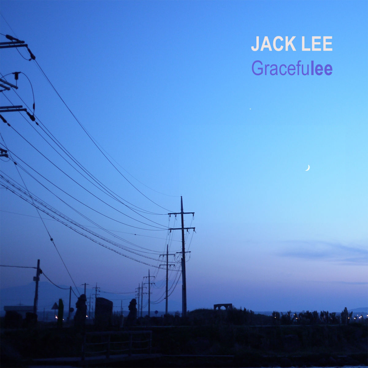 Album cover of Gracefulee