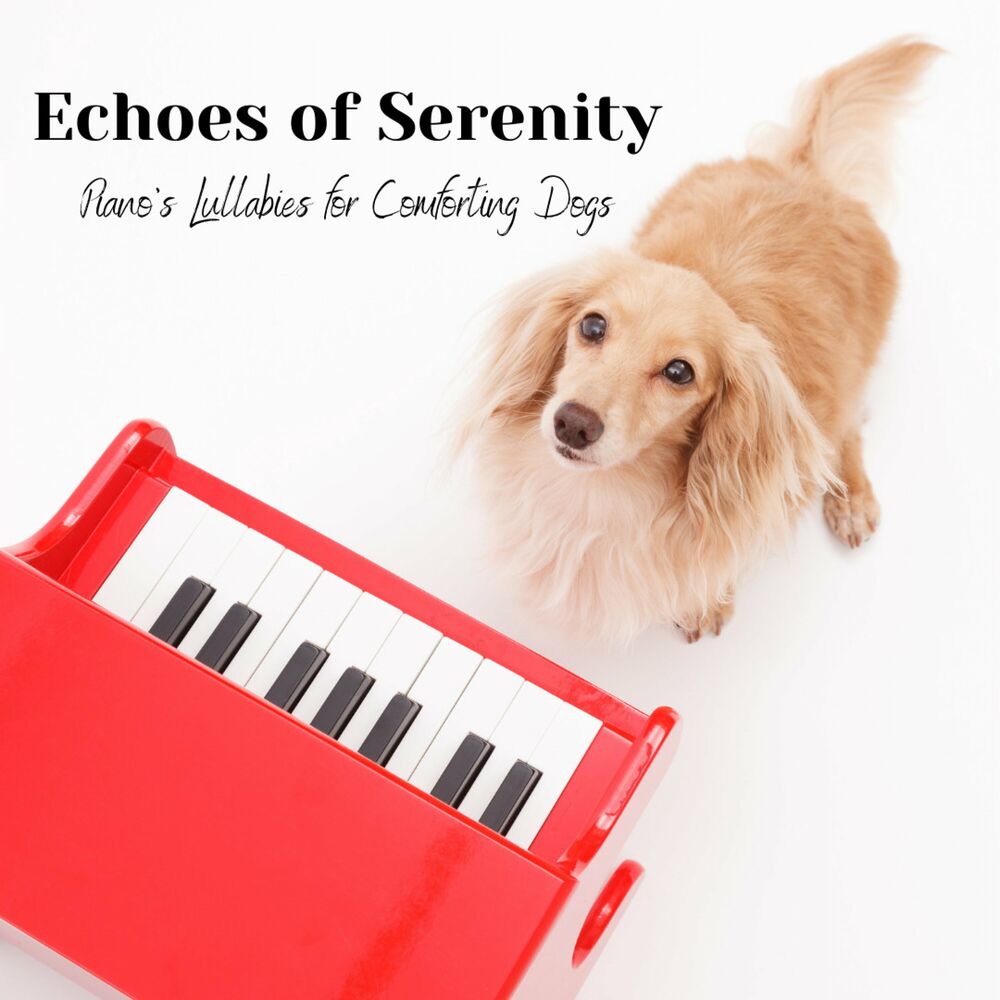 Picture of Echoes of Serenity: Piano's Lullabies for Comforting Dogs
