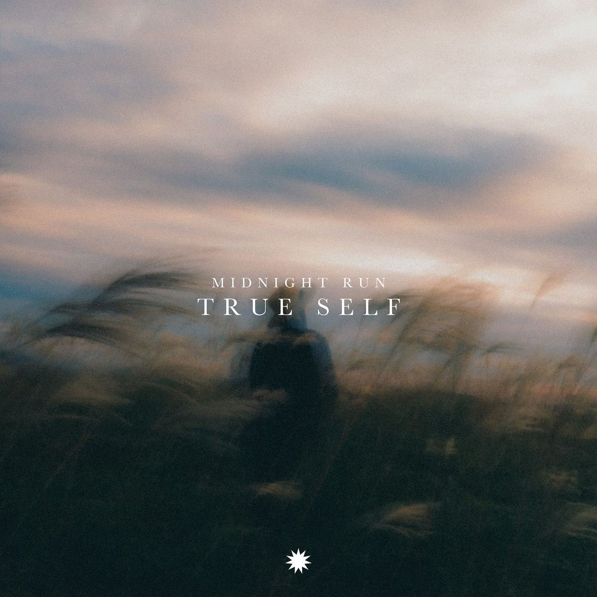 Album cover of True Self